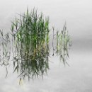 Foto-Forum BEFO-2014-  001